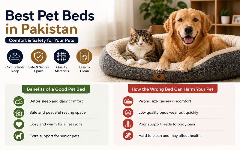 Best Pet Beds in Pakistan