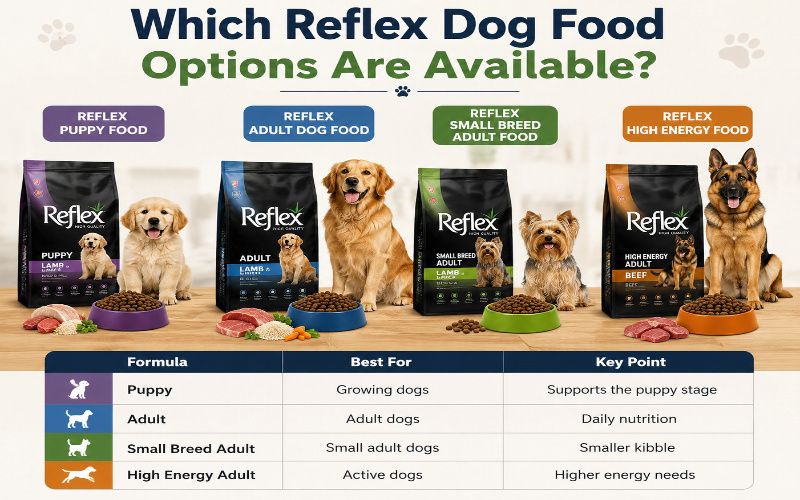 Reflex dog food options for puppies, adult dogs, small breeds, and active dogs