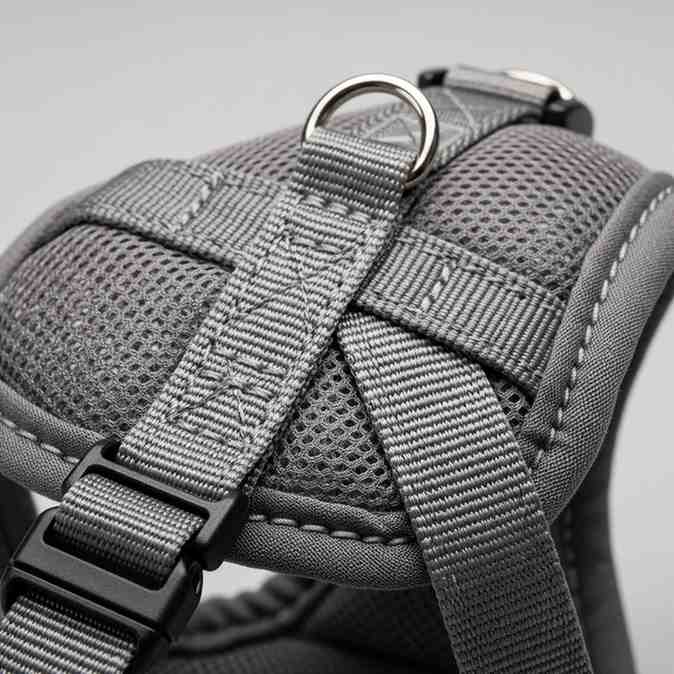 Cat Harness Comfortable & Adjustable Walking Vest