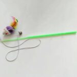 Cat playing stick toy with attached mouse teaser