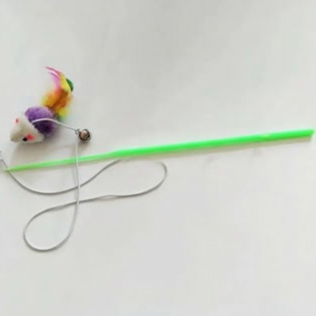 Cat playing stick toy with attached mouse teaser