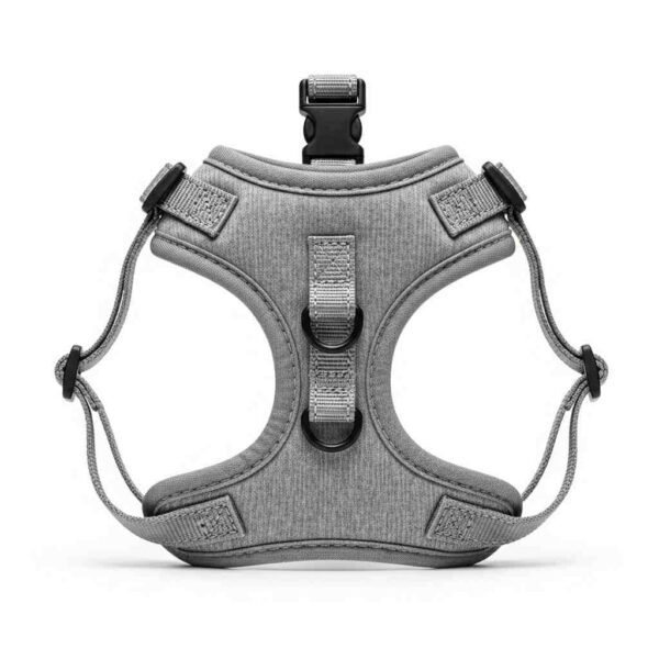 Cat and puppy harness shown in front view on white background