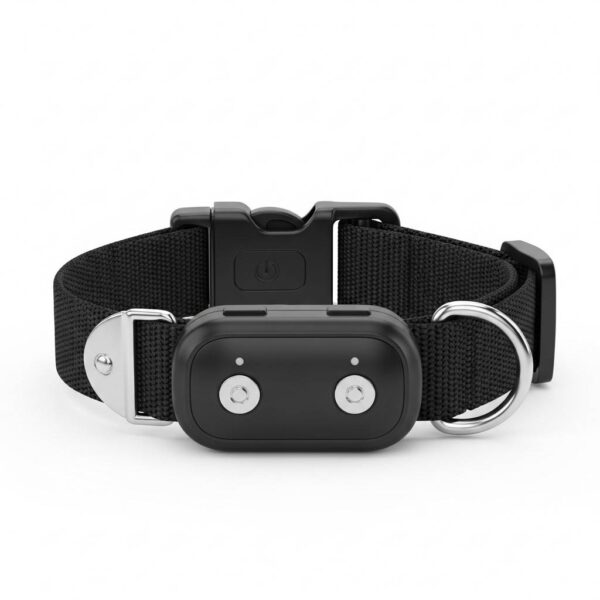 Dog training collar shown in front view on white background