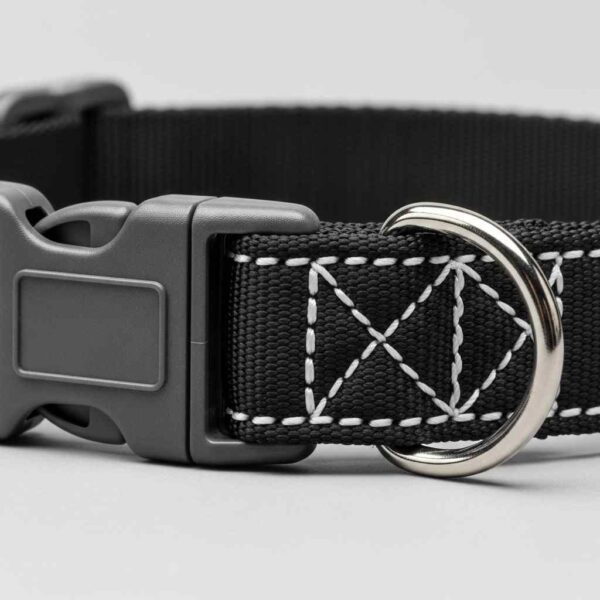 Side view of dog training collar showing buckle and stitching detail