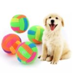 Colorful dog squeaky ball with flashing LED lights on white background