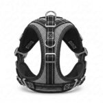 Full body security harness shown in front view on white background