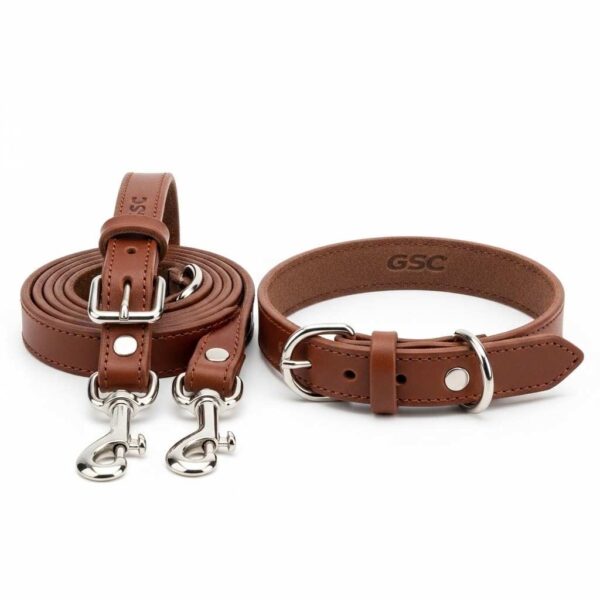 GSC leather leash with collar shown in front view on white background