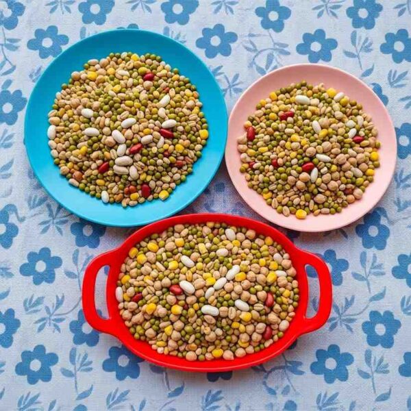 Half KG Soft Food for Birds & Small Pets – Healthy & Mineral Rich