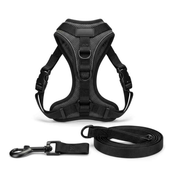 Dog harness with leash set shown in front view on white background