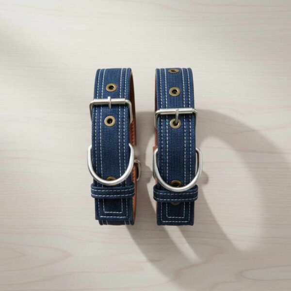 Top view of denim jeans collar neatly arranged on wooden background