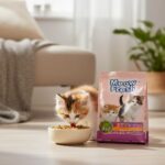 Small kitten eating dry cat food with Meow Fresh pack beside