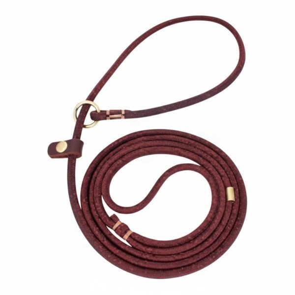 Leather choke leash for dogs shown in front view on white background