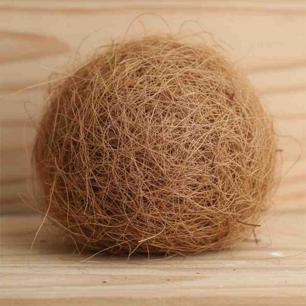 Close-up of natural coconut grass nesting material for finches in a bundle