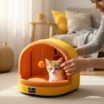 Human placing cat into soft pet nest bed indoors
