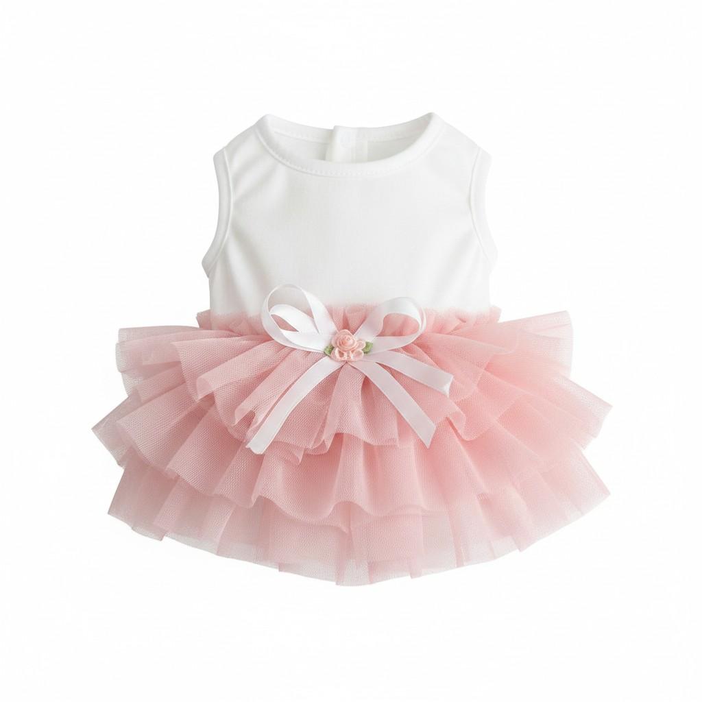 cat and small dog frock dress isolated