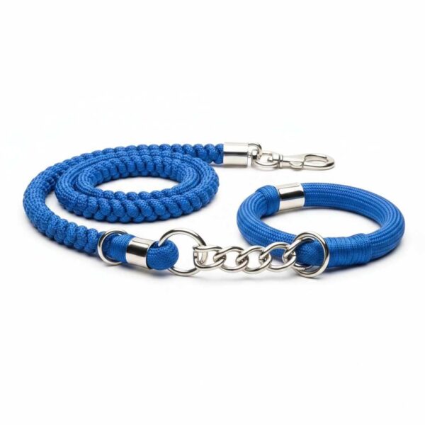 Puppy choke leash with collar shown in front view on white background