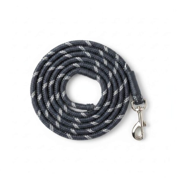 Reflective dog leash high visibility safety leash