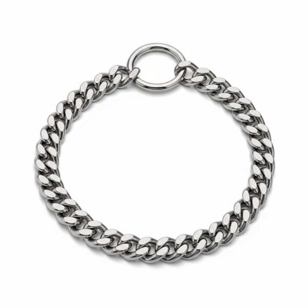 Silver dog chain shown in front view on white background