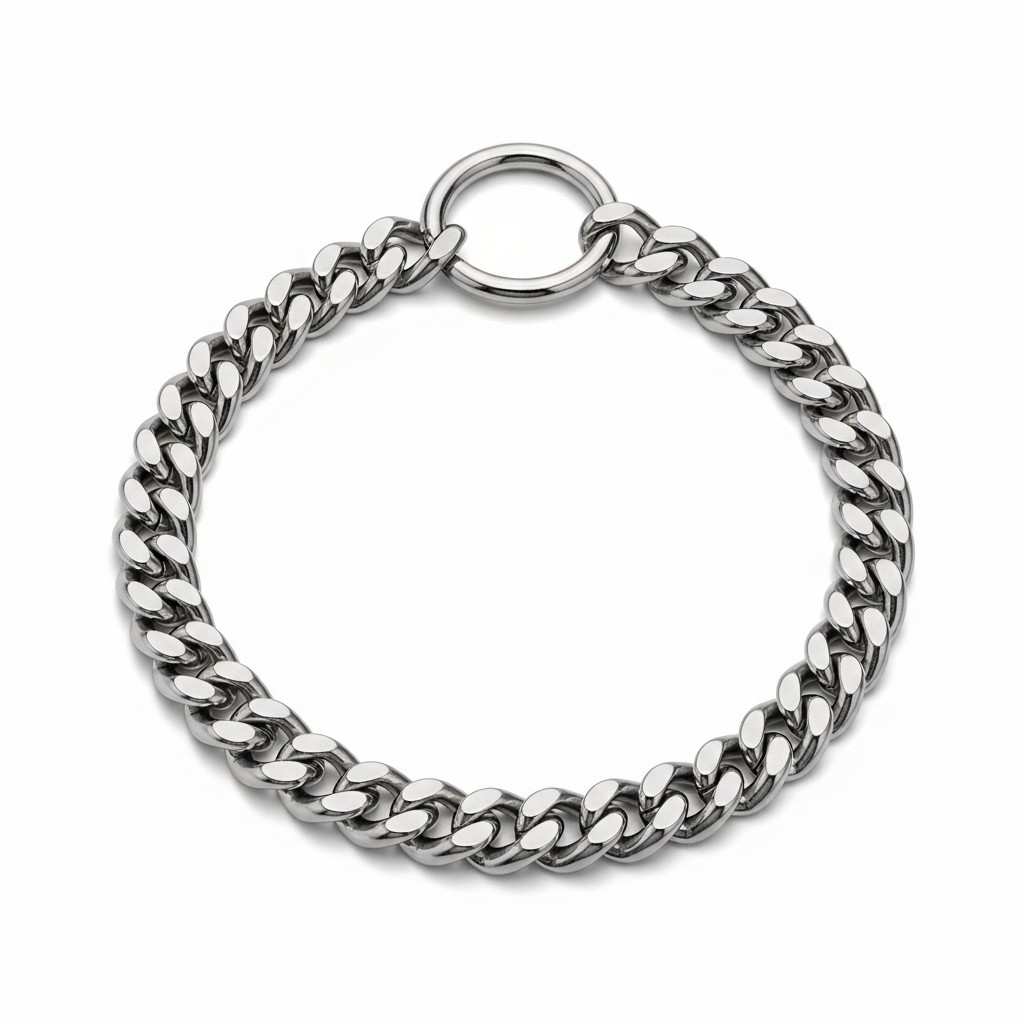 Silver dog chain shown in front view on white background