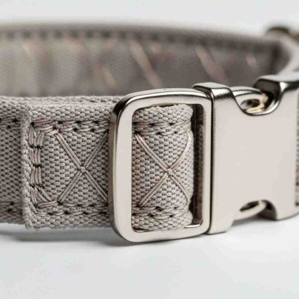 Side view of soft buckle collar showing buckle and stitching detail