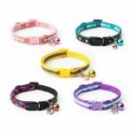 Collection of colorful and stylish cat collars displayed on white background