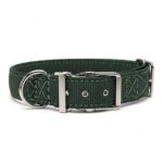 Top breed dog collar shown in front view on white background