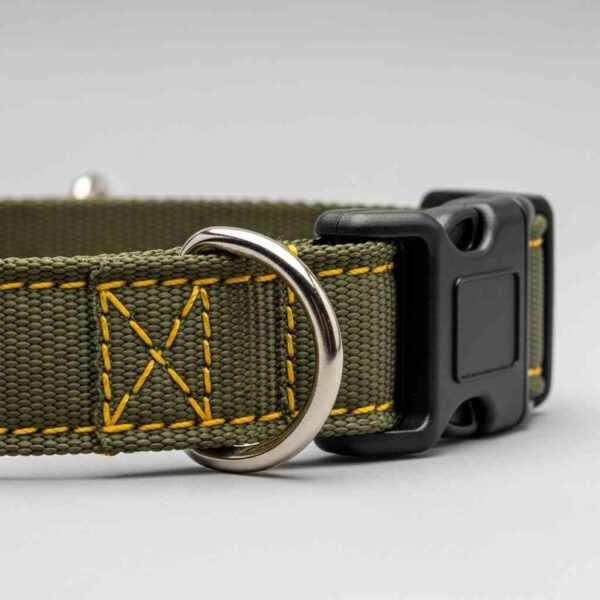 Side view of top breed collar showing buckle and stitching detail