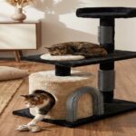 Front view of cat scratching post with grooming brush attachment on white background