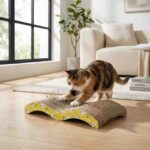 scratching scratcher board in modern home interior