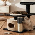 Cat rubbing against scratching post with brush in modern home