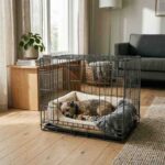 Pet resting inside iron cage in a clean modern home environment