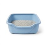 Front view of small plastic cat litter tray on white background