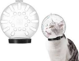 Transparent cat hood cone front angle for pet recovery