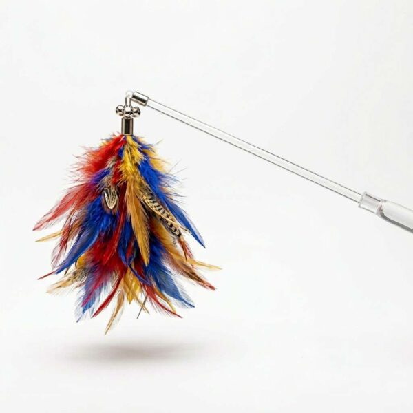 Front view of cat toy with feather on white background