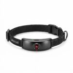 Front view of cat laser collar clearly showing its design and structure