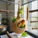 Lovebirds sitting inside a handmade bird nest.