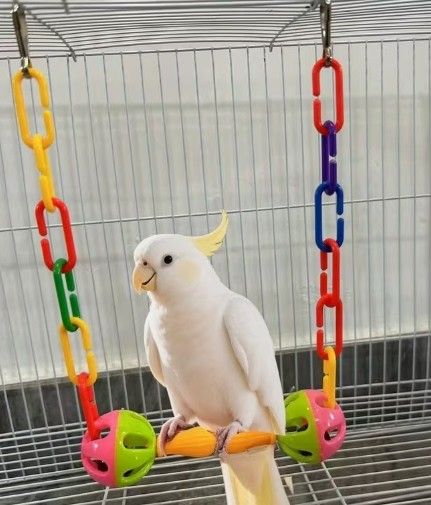 Colorful Bell Swing for Parrots | Hanging Bird Swing Toy with Bell