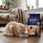 Cat eating Pet Nosh Cat Food 1 kg with food pack beside bowl