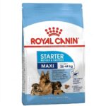 Royal Canin Maxi Starter dog food front packaging